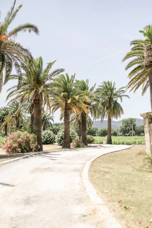 Stone fountain at the heart of the wine estate's grounds