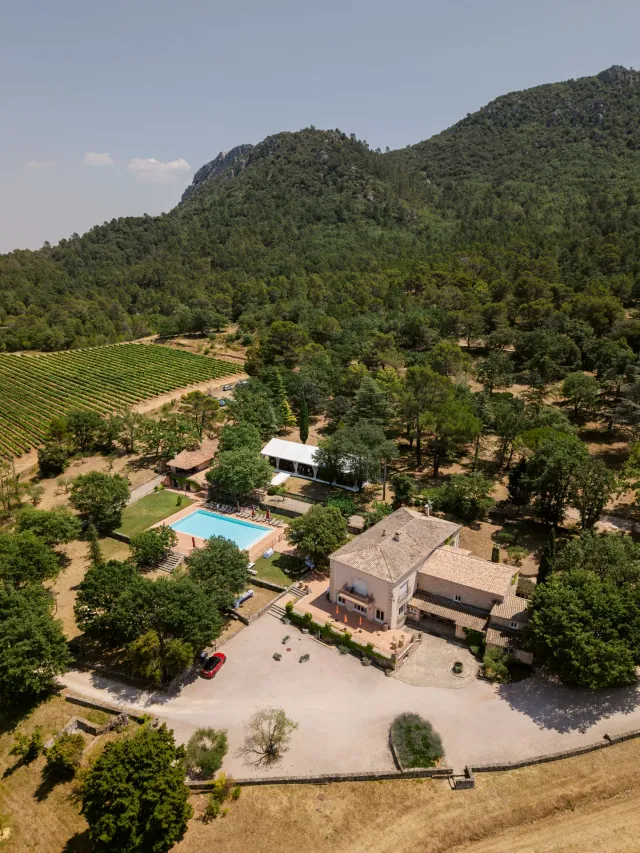 Aerial view of Château de l'Escarelle between vines and forest